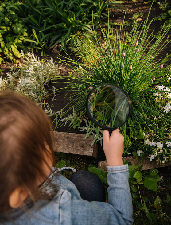 Girl observing plant with magnifying glass