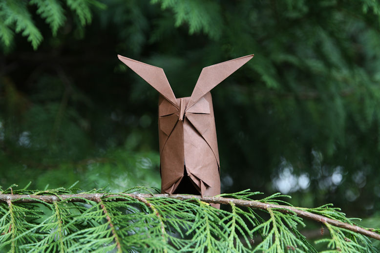 Brown origami owl photographed on a leafy tree branch