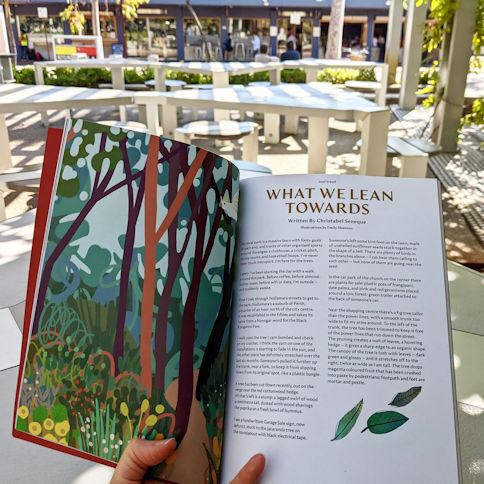 Soul Tread Edition 2 open at the nature essay 'What we Lean Towards' by Christabel Seneque, with illustrations by Emily Shannon. Magazine is being read in dappled sunlight in an outdoor public seating area in Leederville, Western Australia.